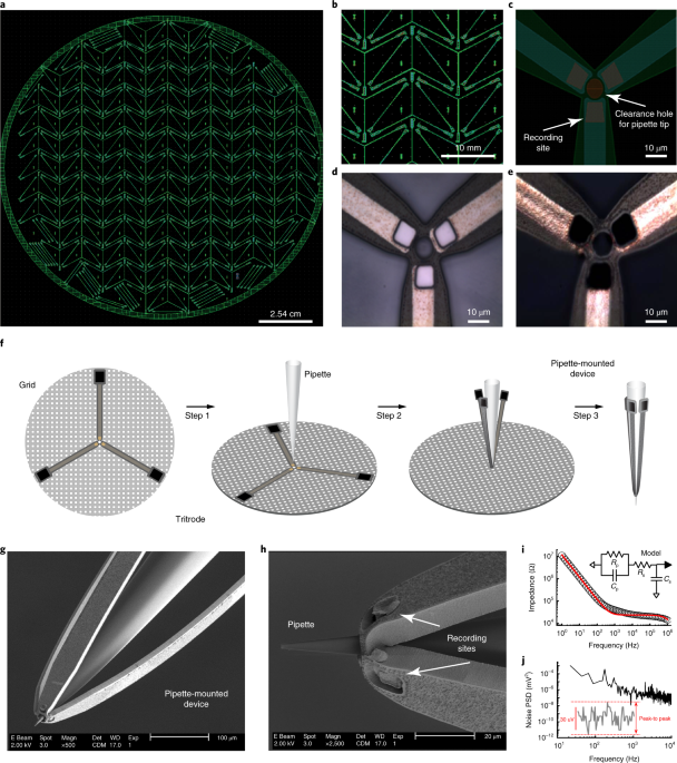 Multimodal in vivo brain electrophysiology with integrated glass microelectrodes