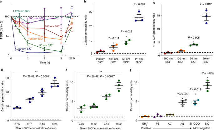 Anionic Nanoparticles Enable The Oral Delivery Of Proteins By Enhancing Intestinal Permeability Nature Biomedical Engineering