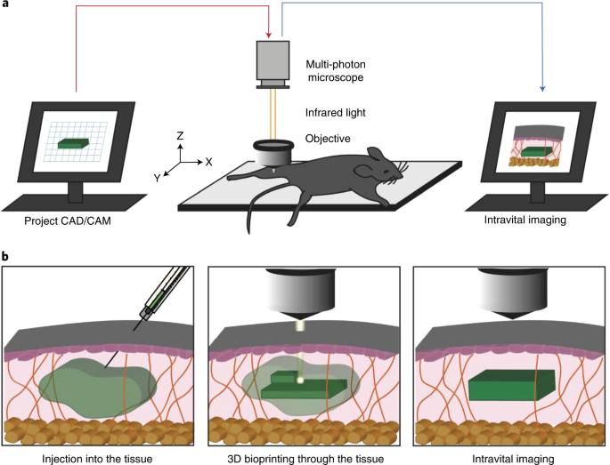 feature-image