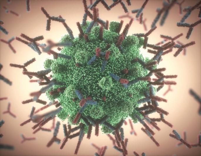COVID-19 remedies | Nature Biomedical Engineering