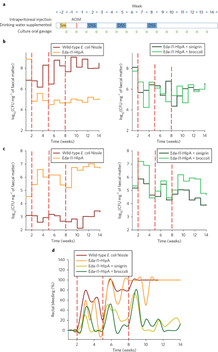 Author correction: engineered commensal microbes for diet-mediated colorectal-cancer chemoprevention
