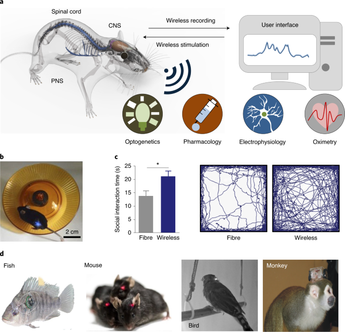 Wireless and battery-free technologies for neuroengineering | Nature Biomedical  Engineering