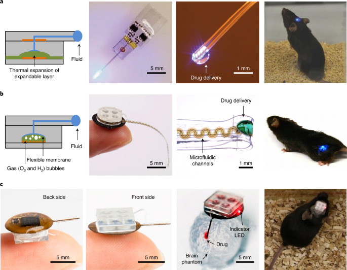 Fully implantable batteryless soft platforms with printed