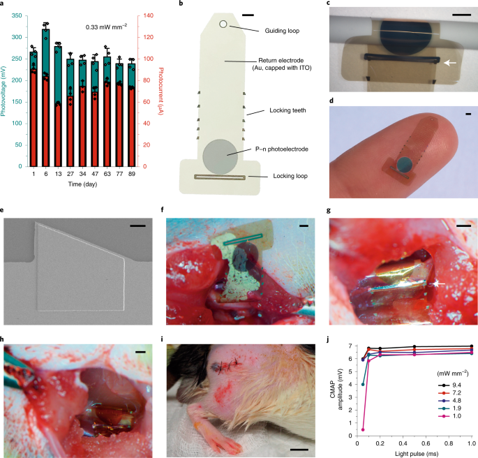 https://media.springernature.com/m685/springer-static/image/art%3A10.1038%2Fs41551-021-00817-7/MediaObjects/41551_2021_817_Fig4_HTML.png