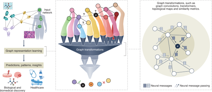 Graph representation learning in biomedicine and healthcare 
