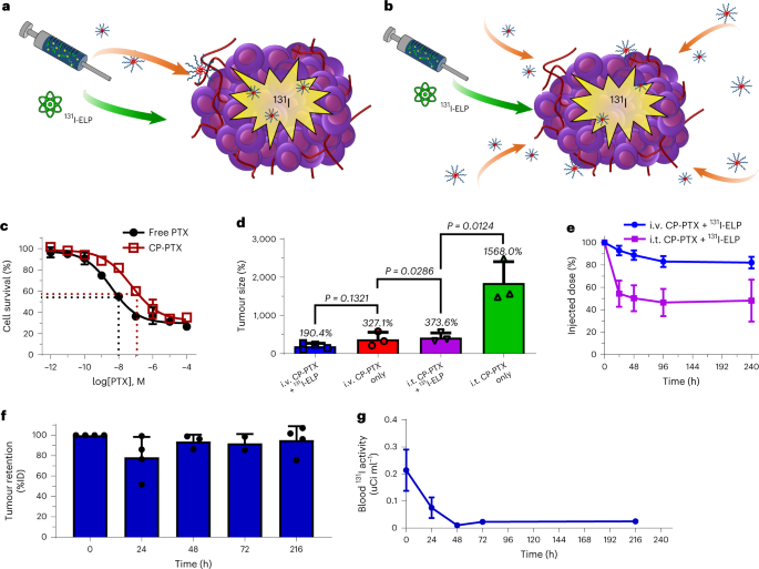Brachytherapy via a depot of biopolymer-bound 131I synergizes with nanoparticle paclitaxel in therapy-resistant pancreatic tumours