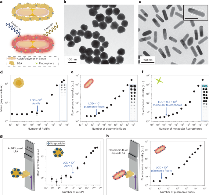 Ultrasensitive lateral-flow assays via plasmonically active antibody-conjugated fluorescent nanoparticles