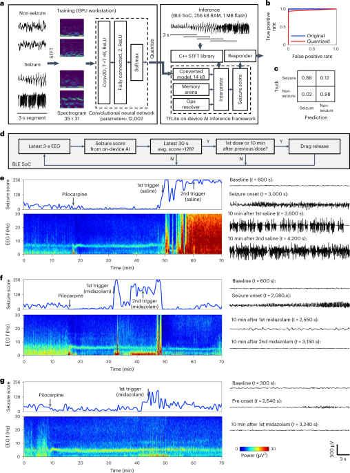 Audio Frequency Spectrum  Types Of Frequency Band ? - ElectronicsHub