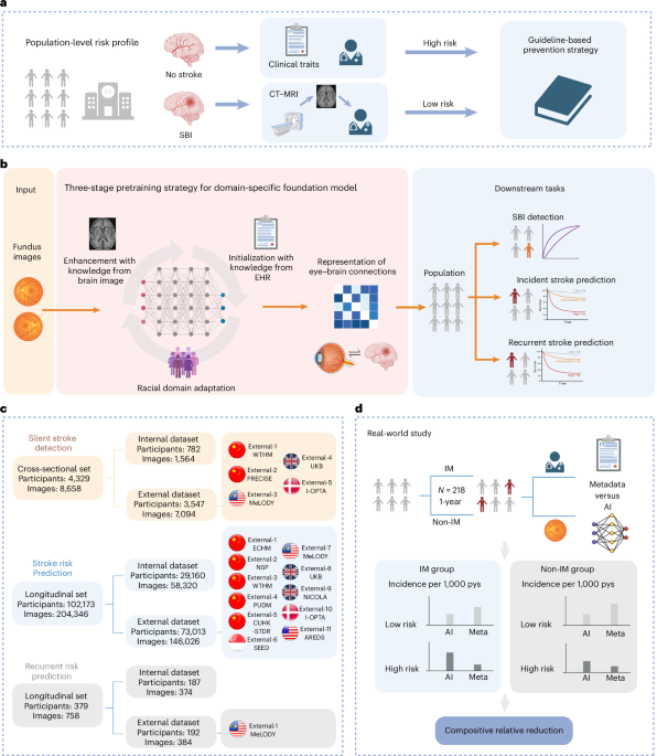 AI System for Detecting Silent Brain Infarctions and Predicting Stroke Risk