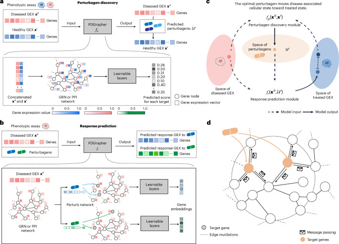 Combinatorial prediction of therapeutic perturbations using causally inspired neural networks