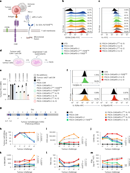 Solid tumour CAR-T cells engineered with fusion proteins targeting PD-L1 for localized IL-12 delivery