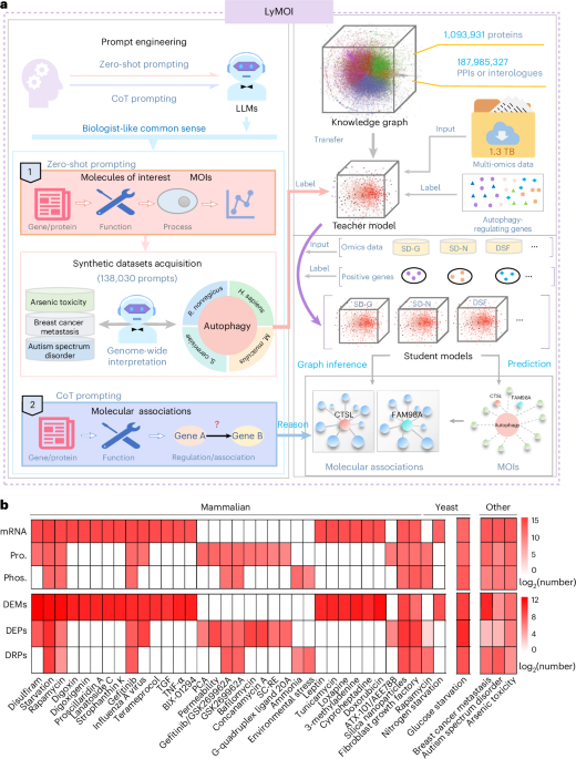 A deep learning and large language hybrid workflow for omics ...