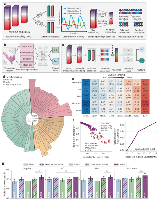 nnMIL: a generalizable multiple instance learning framework for computational pathology nnMIL: a generalizable multiple instance learning framework for computational pathology