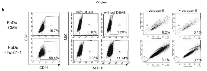 Author correction: bmi1 is essential in twist1-induced epithelial–mesenchymal transition