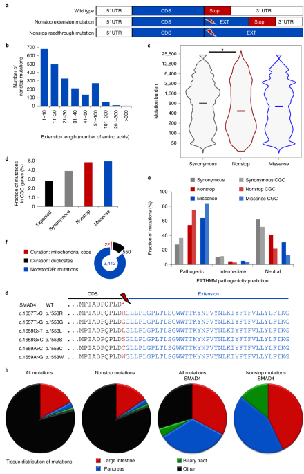 A pan-cancer analysis reveals nonstop extension mutations causing smad4 tumour suppressor degradation