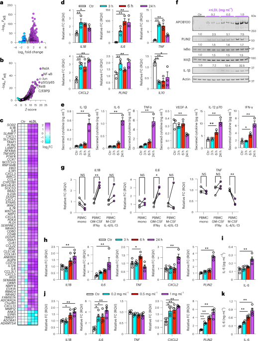 Ldl delivery of microbial small rnas drives atherosclerosis through macrophage tlr8