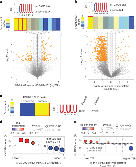 An mRNA processing pathway suppresses metastasis by governing translational control from the nucleus