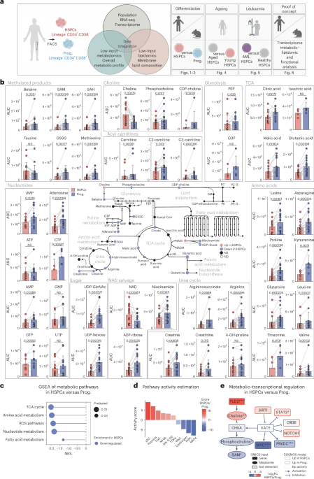 pt141 peptide nasal spray lithobates clamitans melanota Buy PT-141 Nasal Spray Online