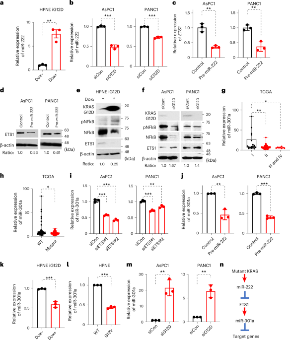 dr perlmutter glutathione video RASH3D19 mediates RAS activation through a positive feedback loop in KRAS-mutant cancer