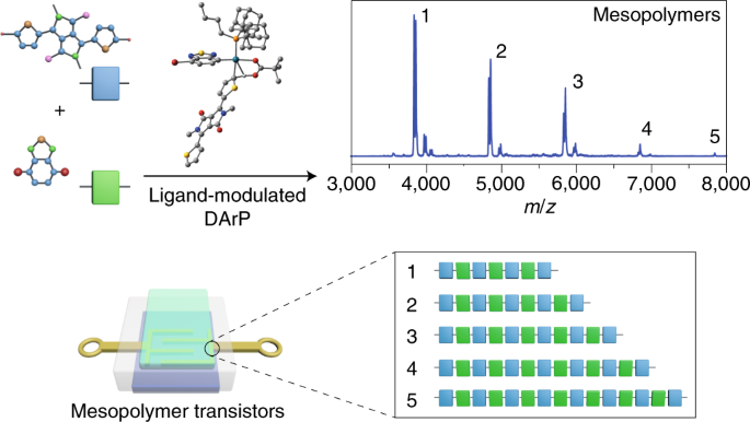 Mesopolymer synthesis by ligand-modulated direct arylation polycondensation towards n-type and ambipolar conjugated systems
