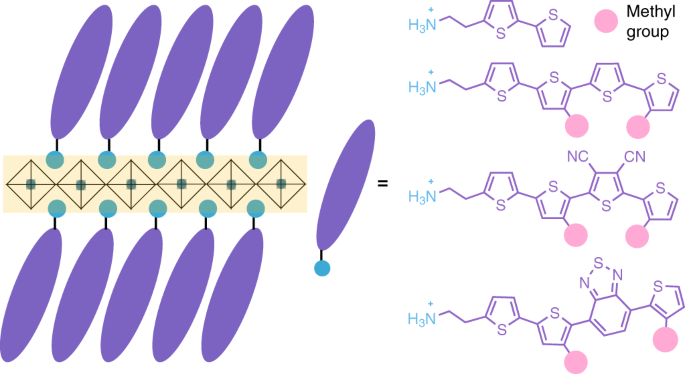 Molecular engineering of organic–inorganic hybrid perovskites quantum wells