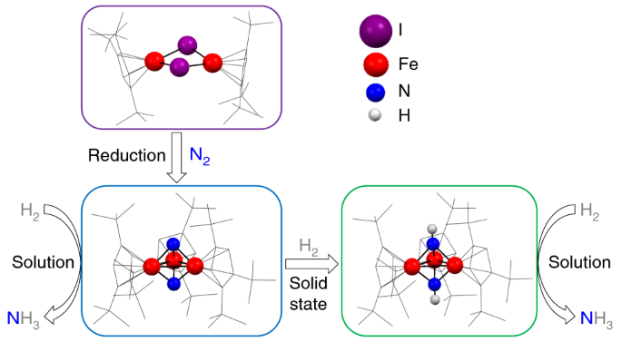 NH3 formation from N2 and H2 mediated by molecular tri-iron complexes |  Nature Chemistry