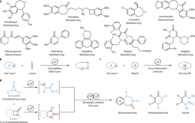 Synthesis of 4-membered ring alkaloid analogues via intramolecular [2+2]  cycloaddition involving keteniminium salt intermediates - ScienceDirect