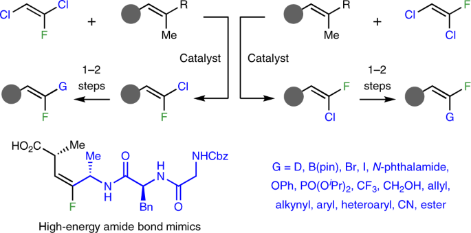 Stereodefined alkenes with a fluoro-chloro terminus as a uniquely enabling  compound class