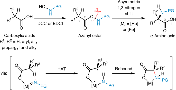 Stereocontrolled 1 3 Nitrogen Migration To Access Chiral A Amino Acids Nature Chemistry