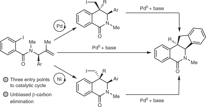 Goneryl over Riskant Reversible C–C bond formation using palladium catalysis | Nature Chemistry