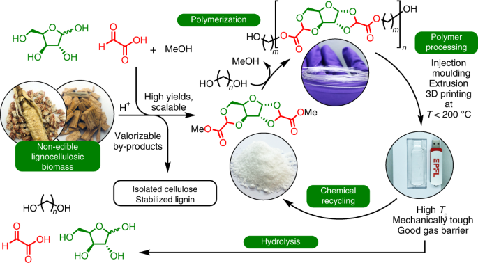 Sustainable polyesters via direct functionalization of