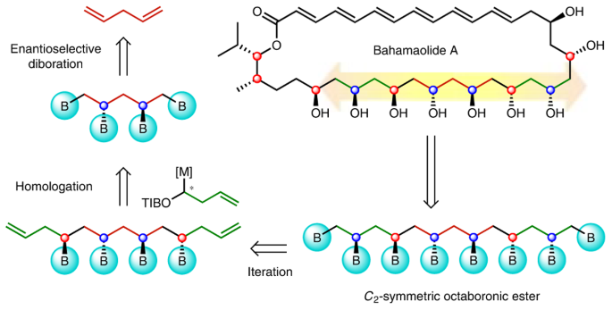 Synthesis of New Ester Derivatives of Salicylic Acid and Evaluation of  Their COX Inhibitory Potential - Koca - 2023 - Chemistry & Biodiversity -  Wiley Online Library