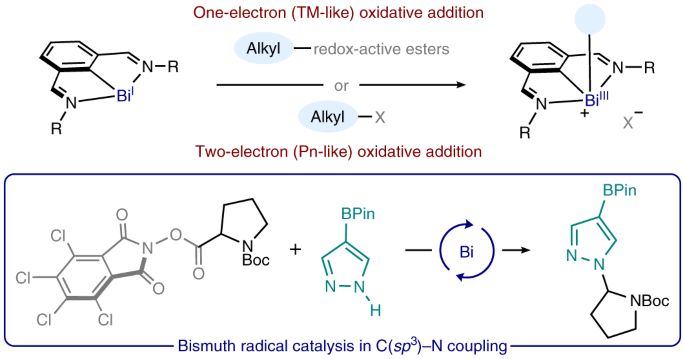 Bismuth radical catalysis in the activation and coupling of redox-active  electrophiles | Nature Chemistry