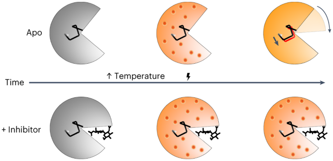 https://media.springernature.com/m685/springer-static/image/art%3A10.1038%2Fs41557-023-01329-4/MediaObjects/41557_2023_1329_Figa_HTML.png