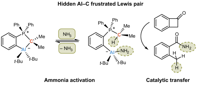 A crystalline aluminium–carbon-based ambiphile capable of 