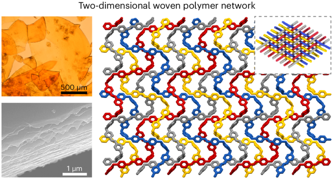 Single crystals of purely organic free-standing two-dimensional 