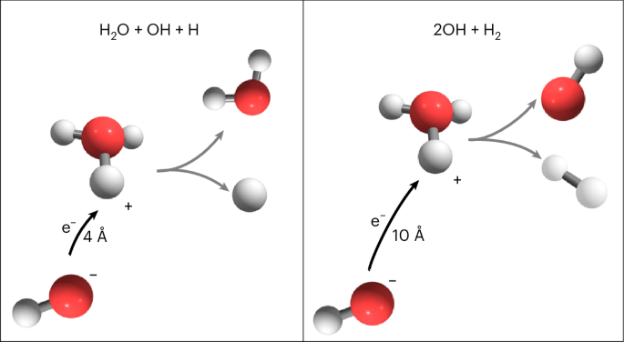 Unravelling non-adiabatic pathways in the mutual neutralization of hydronium and hydroxide Unravelling non-adiabatic pathways in the mutual neutralization of hydronium and hydroxide
