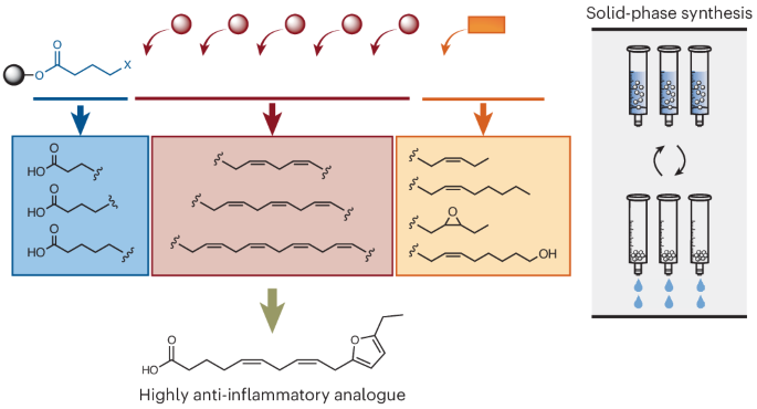 Expedited Research and Information Synthesis