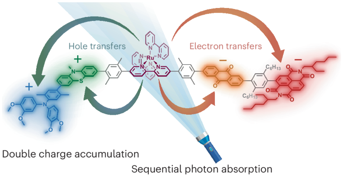 Photoinduced double charge accumulation in a molecular compound ...