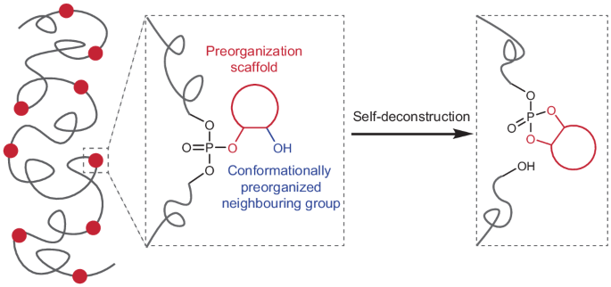 Conformational preorganization of neighbouring groups modulates and expedites polymer self-deconstruction - Nature Chemistry