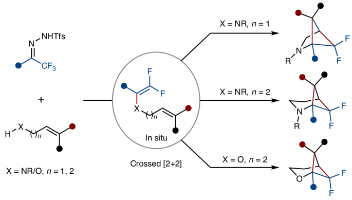 Thermal [2+2] cycloaddition as a route to gem-difluoro heterobicyclo[n.1.1]alkanes - Nature Chemistry