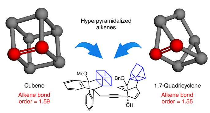 Hyperpyramidalized alkenes with bond orders near 1.5 as synthetic building blocks - Nature Chemistry