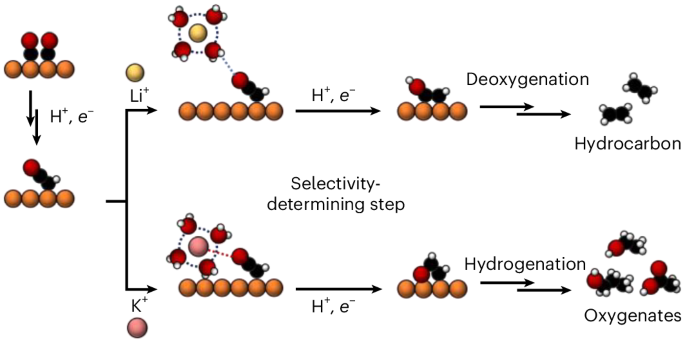 Small alkali cations direct CO electroreduction to hydrocarbons rather than oxygenates - Nature Chemistry