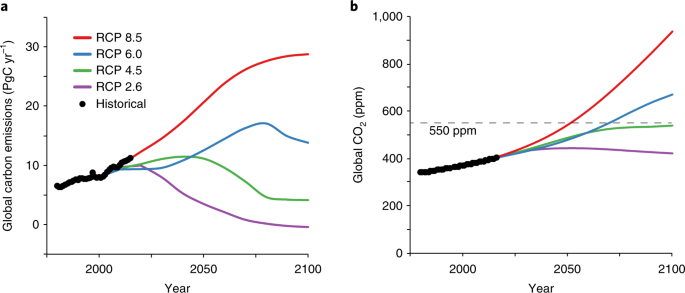 Impact of anthropogenic CO2 emissions on global human nutrition | Nature  Climate Change