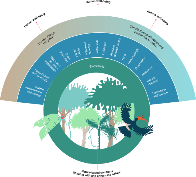 Grounding Nature Based Climate Solutions In Sound Biodiversity Science Nature Climate Change