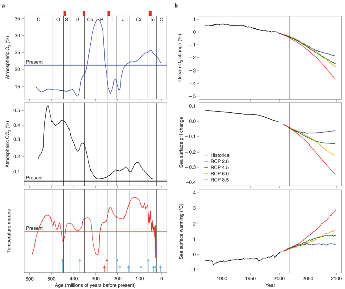 Mortality of Seagrass Meadows May Not Kill Their Methane Release - Eos