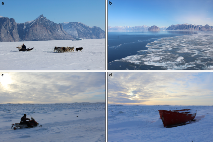 arctic ice tundra review