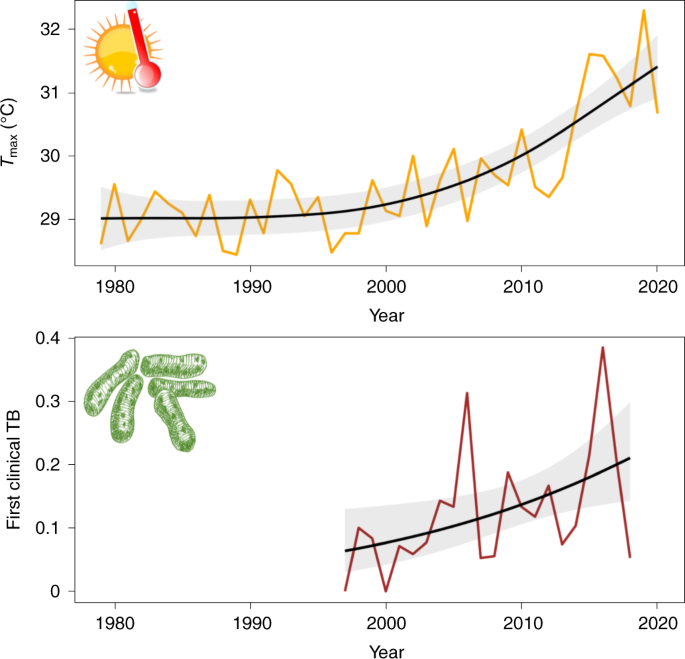 Road killed vertebrates vs. mean temperature and total precipitation