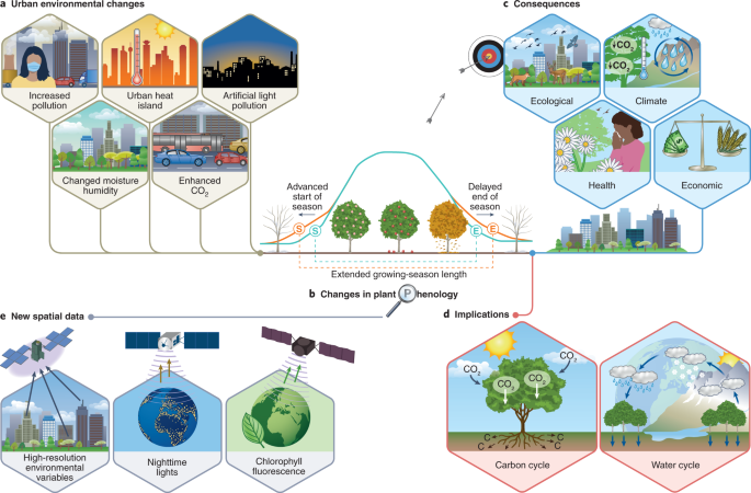 1. Phenology and Seasonal Change