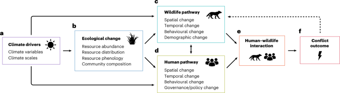 III. The Role of Research in Understanding Human-Wildlife Interaction
